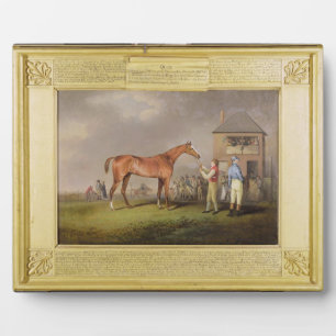 Portrait of 'Quiz', the property of Lord Rous, aft Plaque