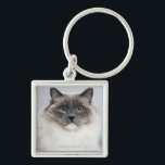 Portrait of Ragdoll cat Keychain<br><div class="desc">Ragdoll cat,  close-up,  portrait | Thomas Barwick | AssetID: sb10069314j-001</div>