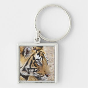 Portrait of Royal Bengal Tiger, Ranthambhor Keychain