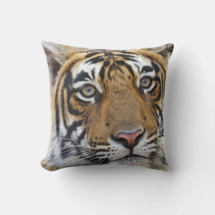 Portrait of Royal Bengal Tiger, Ranthambhor Throw Pillow