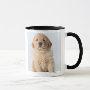 Portrait of six week old golden retriever puppy. mug