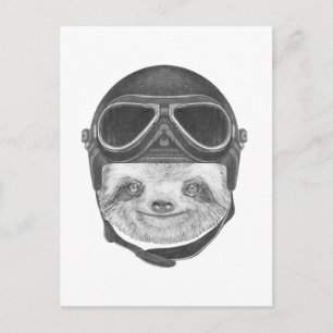 Portrait Of Sloth Vintage Helmet Postcard