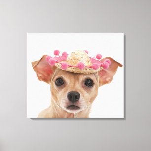 Portrait of small dog in sombrero canvas print
