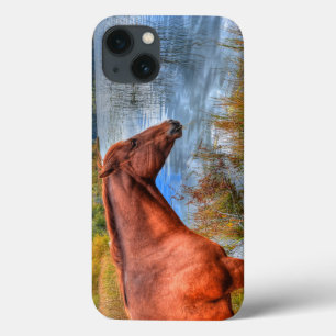 Portrait of Sorrel Mare & Scenic Lake Equine Photo iPhone 13 Case