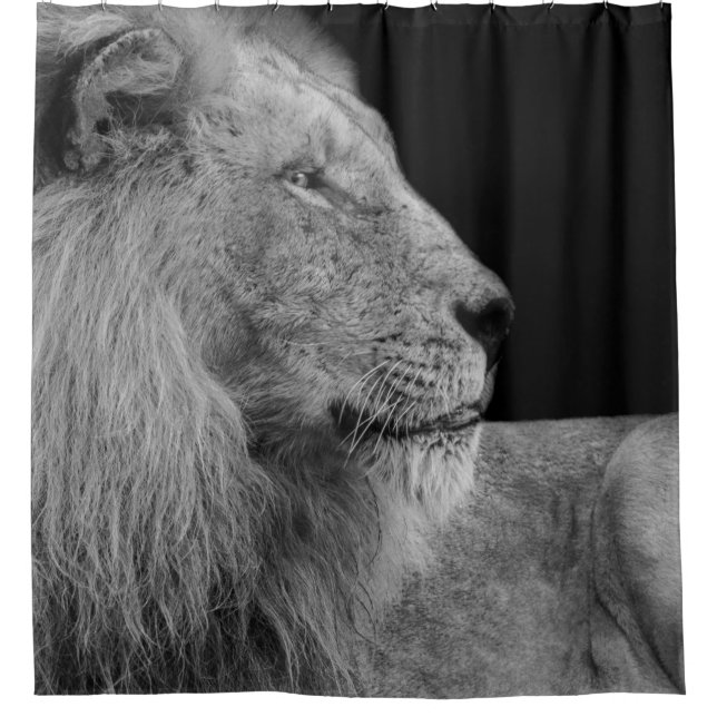 PORTRAIT OF THE KING (Front)