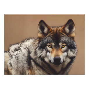 Portrait of the wolf photo print