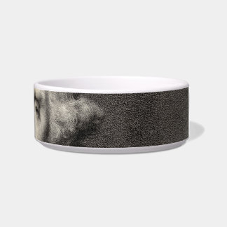 Portrait of Thomas Jefferson Bowl