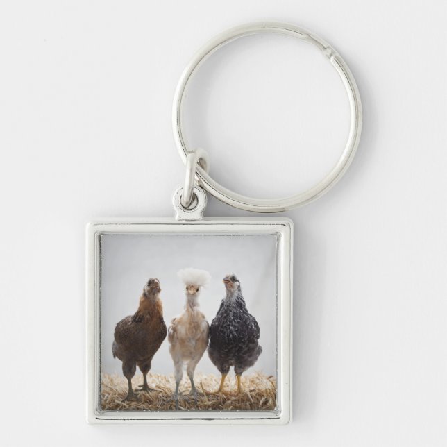 Portrait of Three Pet Chickens Looking Forward Keychain (Front)