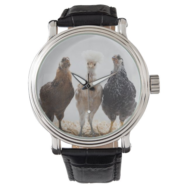 Portrait of Three Pet Chickens Looking Forward Watch (Front)