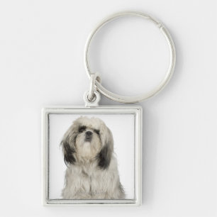 Portrait of Tibetan Terrier puppy Keychain
