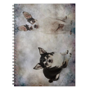 Portrait of two chihuahua's notebook