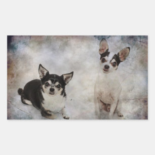 Portrait of two chihuahua's sticker