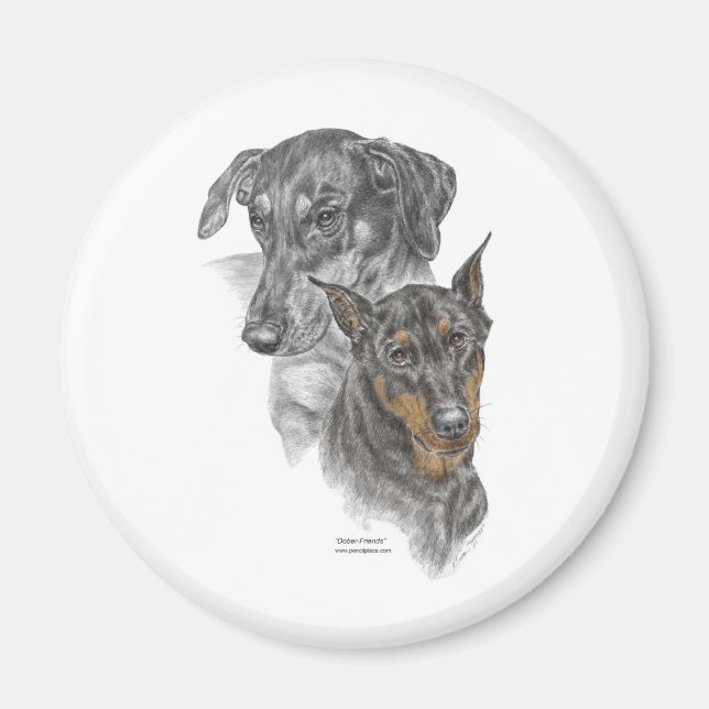 Portrait of Two Dobermans Magnet (Front)