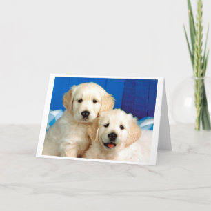 Portrait of two labrador pups holiday card