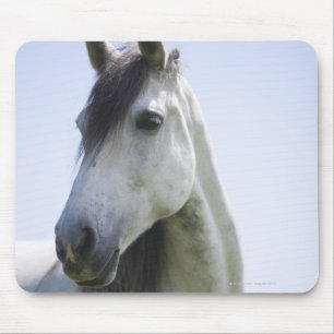 portrait of white horse mouse pad