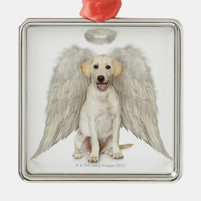 Portrait of white Labrador retriever wearing Metal Ornament (Front)