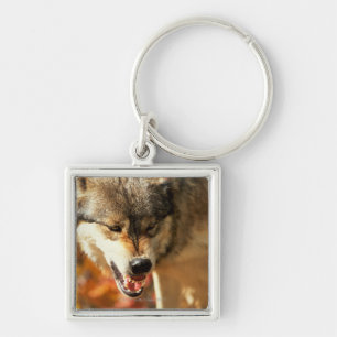 Portrait of wolf growling keychain