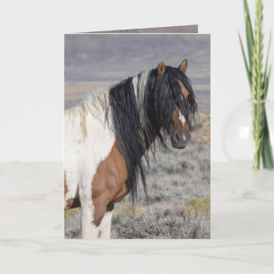 Portrait of Zephyr Wild Horse Greeting Card
