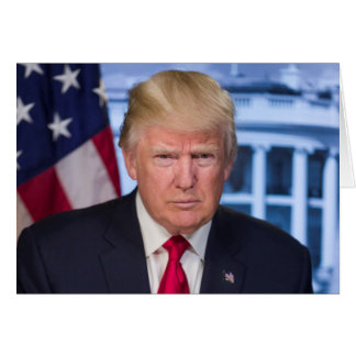 Portrait officiel de Donald Trump