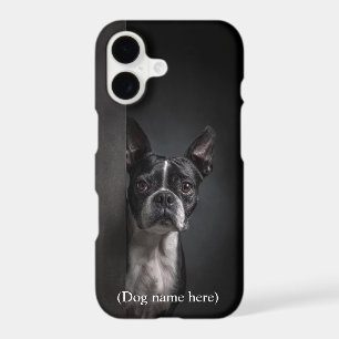 Portrait personnalisé de Boston Terrier