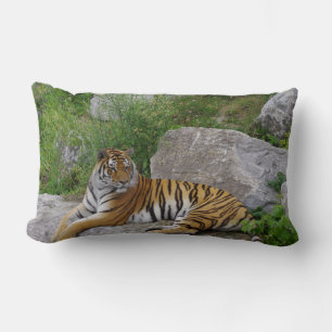 Portrait photo of a Siberian tiger Lumbar Pillow