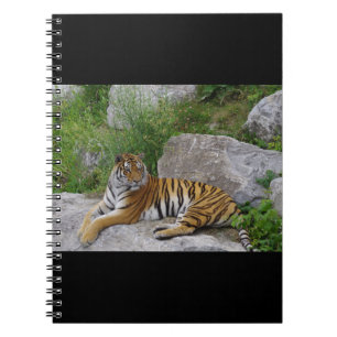 Portrait photo of a Siberian tiger Notebook