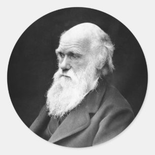 Portrait Photo of Charles Darwin Classic Round Sticker