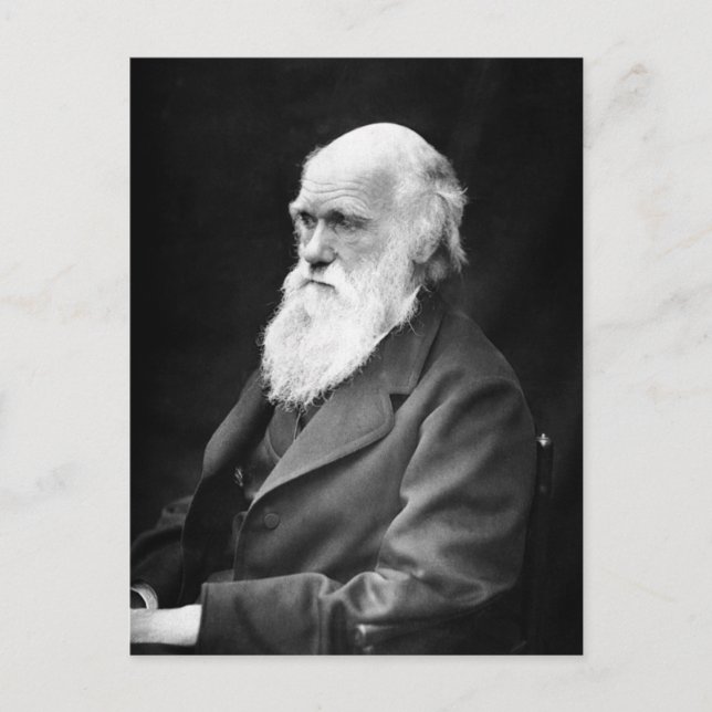 Portrait Photo of Charles Darwin Postcard (Front)