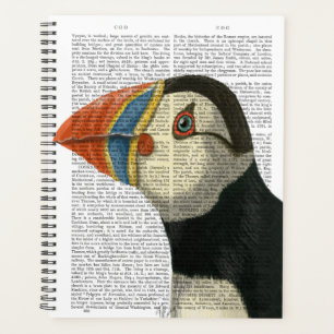 Portrait Puffin
