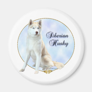 Portrait sibérien Husky - Magnet