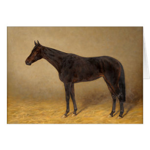Portrait vintage d'un beau cheval,