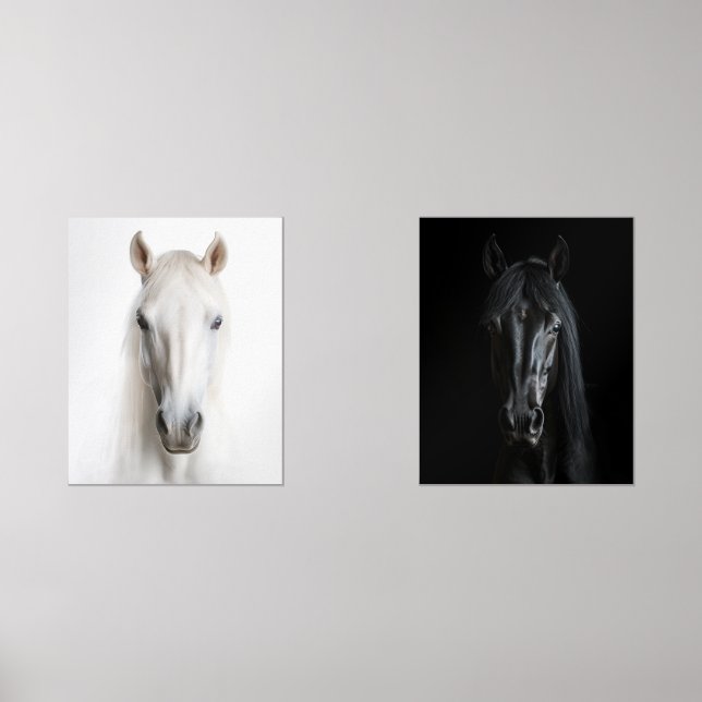 Portraits noir blanc de cheval (Recto)