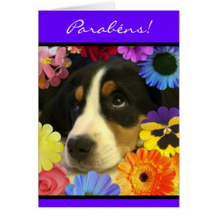 Portugais : Cachorrinho de parabens