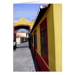 (Portugal) Couleurs de Funchal