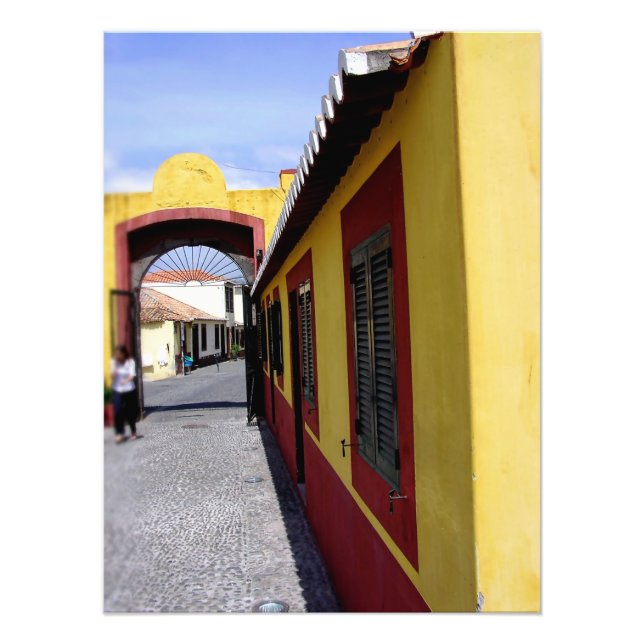 Portugal : Couleurs de Funchal Photo (Devant)