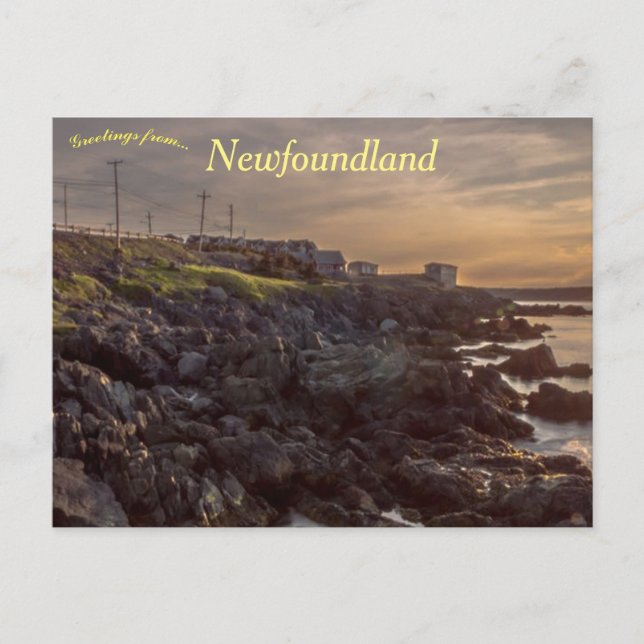 Portugal Cove Newfoundland Canada Postcard (Front)