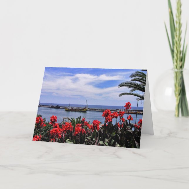 (Portugal) Holiday at Funchal, Madeira Card (Front)