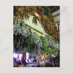 (Portugal) in Funchal Market Postcard