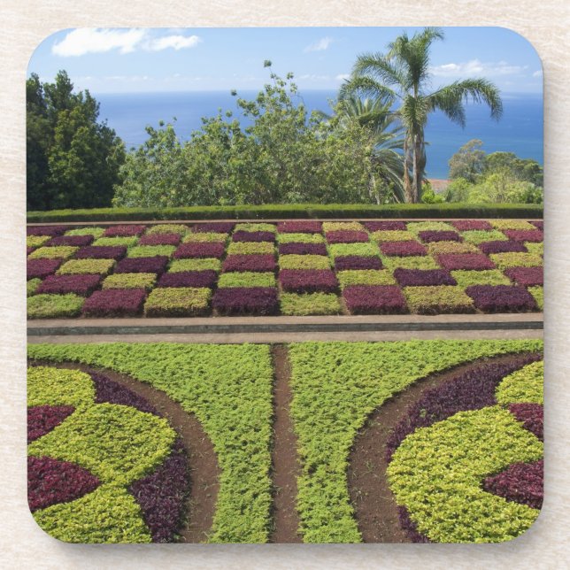 Portugal, Madeira Island, Funchal. Botanical Coaster (Front)