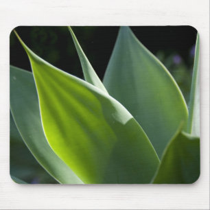 Portugal, Madeira Island, Funchal. Botanical Mouse Pad