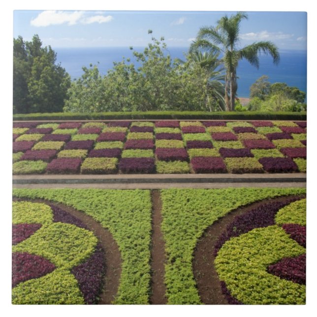 Portugal, Madeira Island, Funchal. Botanical Tile (Front)