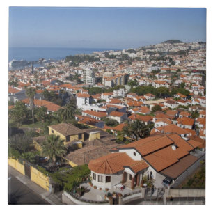 Portugal, Madeira Island, Funchal. Cable car Tile