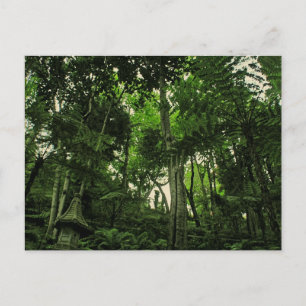 Portugal Madère : Carte postale Canopée Lushness