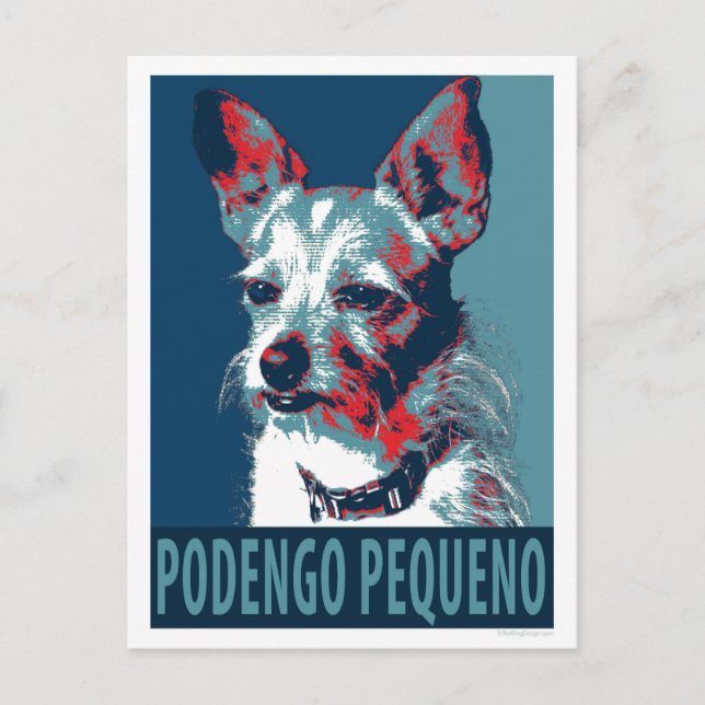 Portugese Podengo Pequeno by Hope Dogs Postcard (Front)
