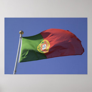 Portuguese Flag RF) Poster