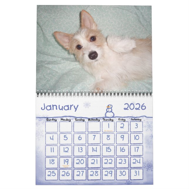 Portuguese Podengo Pequeno calendar (Jan 2026)