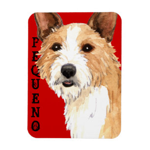 Portuguese Podengo Pequeno Magnet