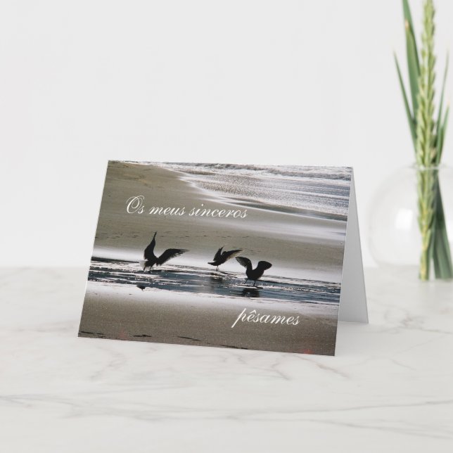 Portuguese sympathy card/condolencias: Seagulls Card (Front)