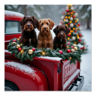 Portuguese Water Dog Christmas Red Truck Holiday Poster