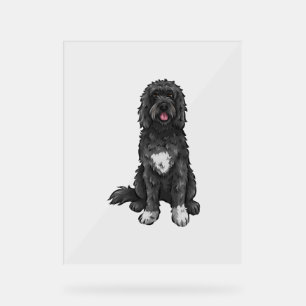 Portuguese Water Dog  Cute Dog Art  Acrylic Sign
